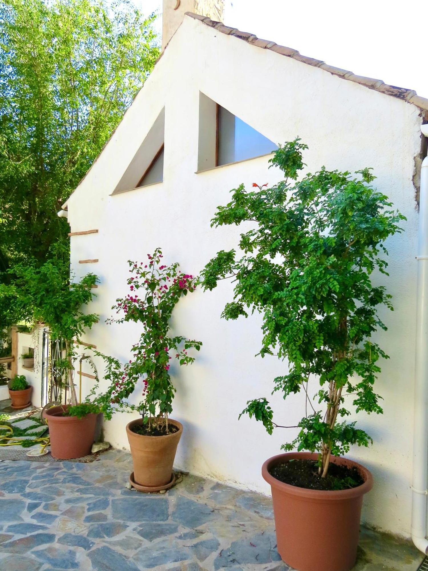 Holiday home El Encanto