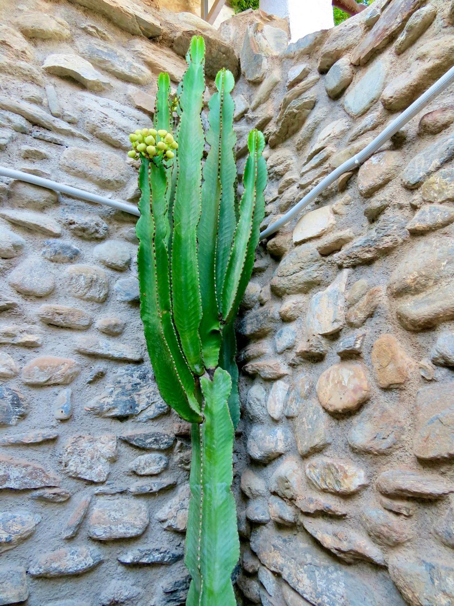 El Encanto Ferienhaus